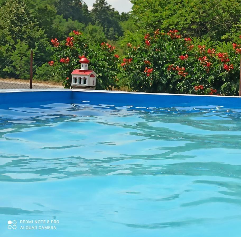 Guest House Vila Aleksa Bogutovac Екстер'єр фото