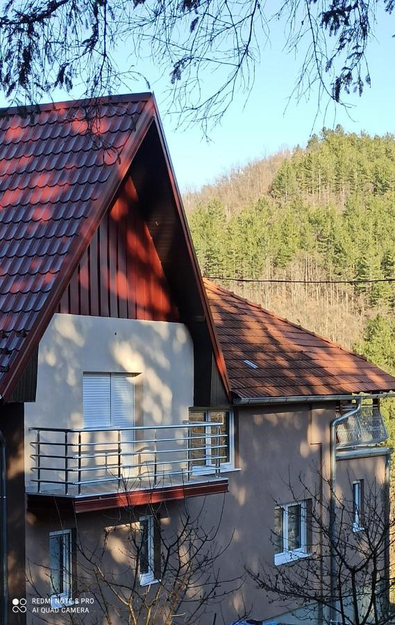 Guest House Vila Aleksa Bogutovac Екстер'єр фото