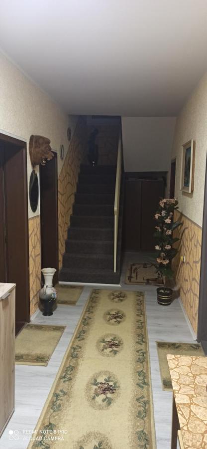 Guest House Vila Aleksa Bogutovac Екстер'єр фото
