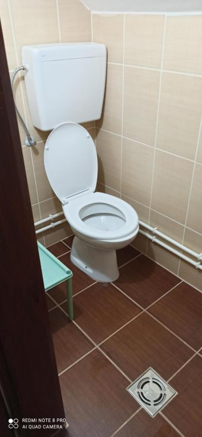 Guest House Vila Aleksa Bogutovac Екстер'єр фото