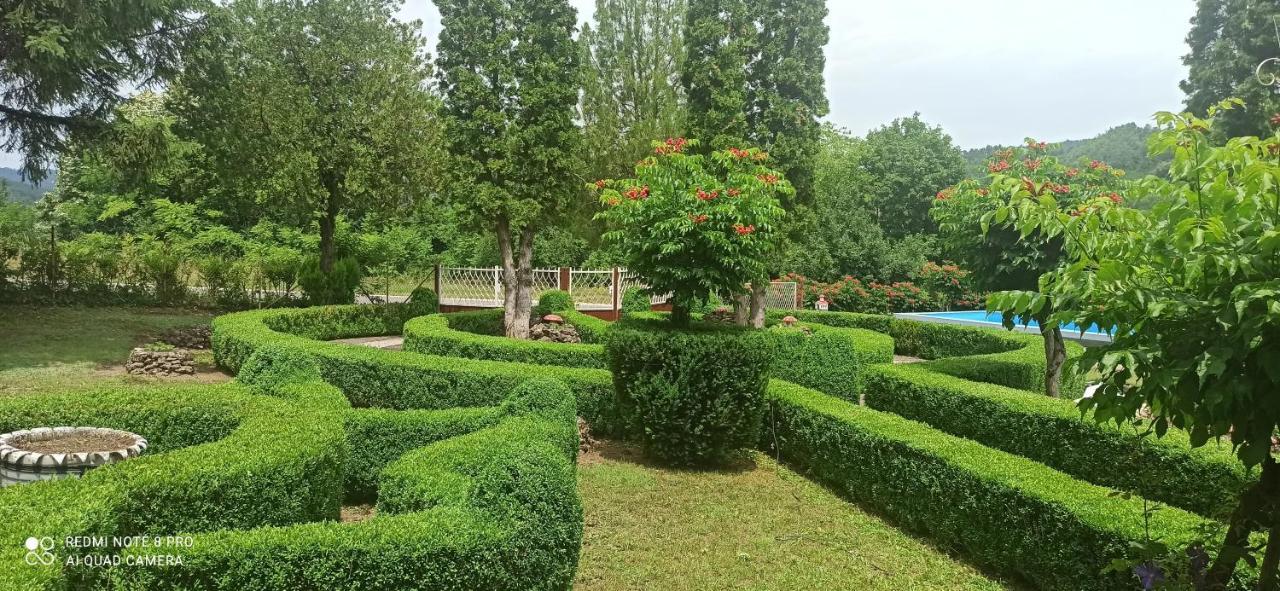 Guest House Vila Aleksa Bogutovac Екстер'єр фото
