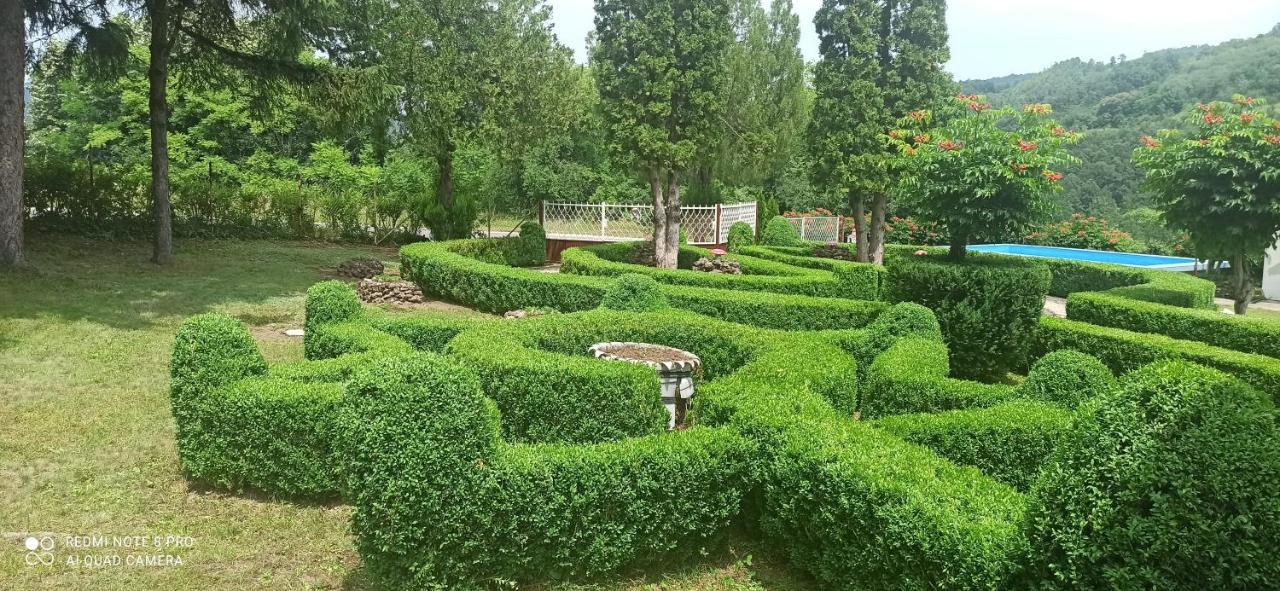 Guest House Vila Aleksa Bogutovac Екстер'єр фото