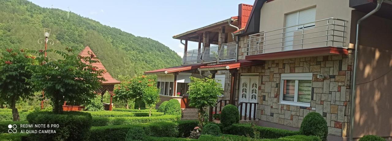 Guest House Vila Aleksa Bogutovac Екстер'єр фото
