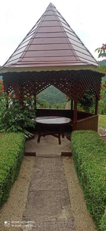 Guest House Vila Aleksa Bogutovac Екстер'єр фото