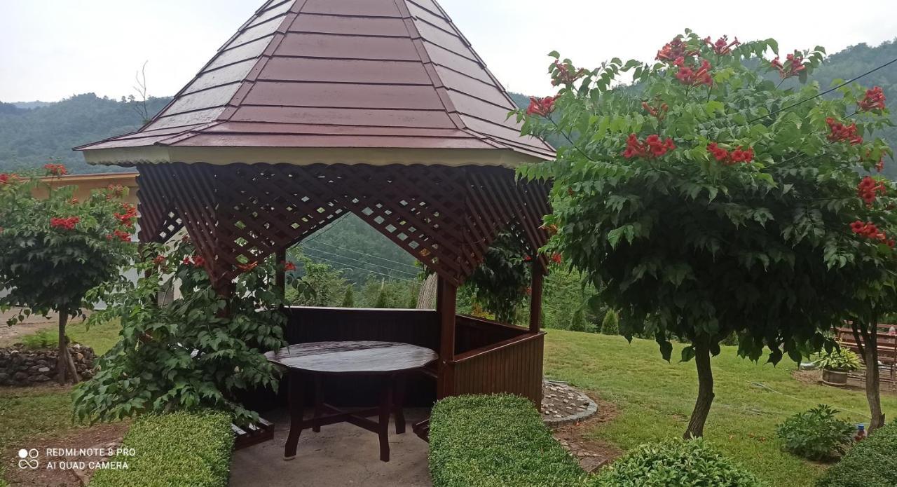 Guest House Vila Aleksa Bogutovac Екстер'єр фото