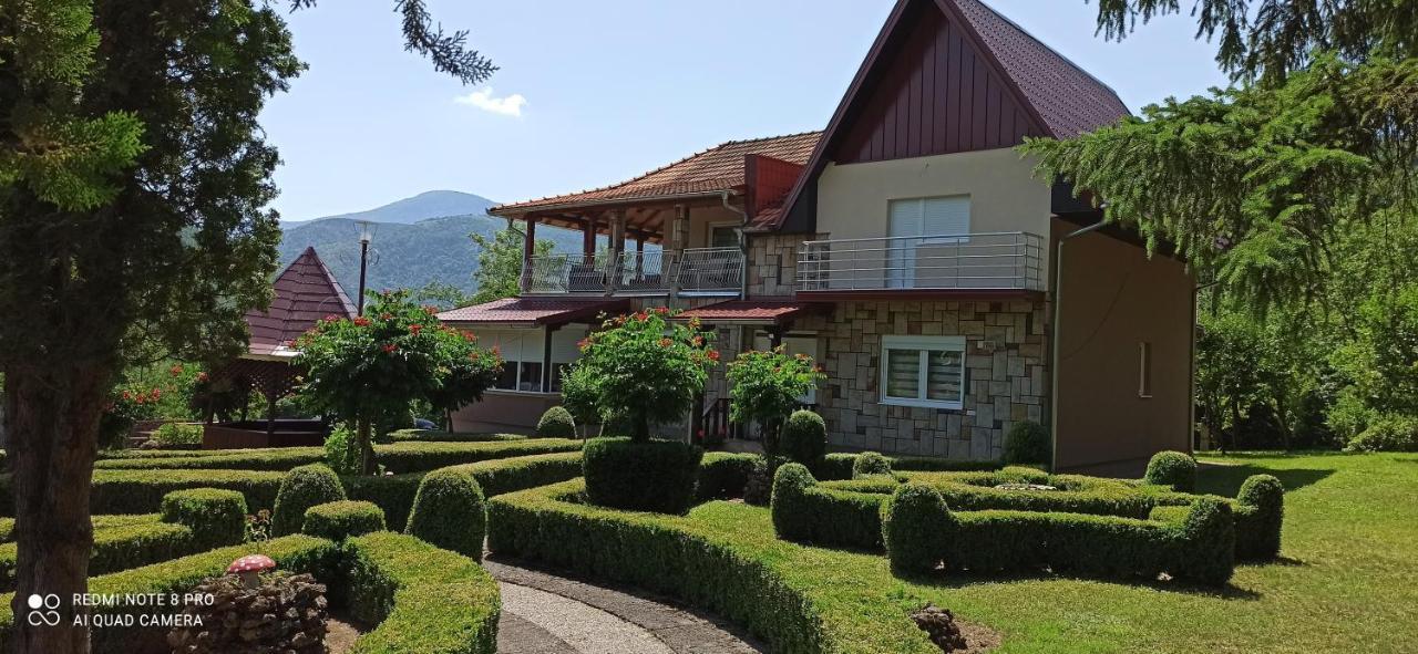 Guest House Vila Aleksa Bogutovac Екстер'єр фото