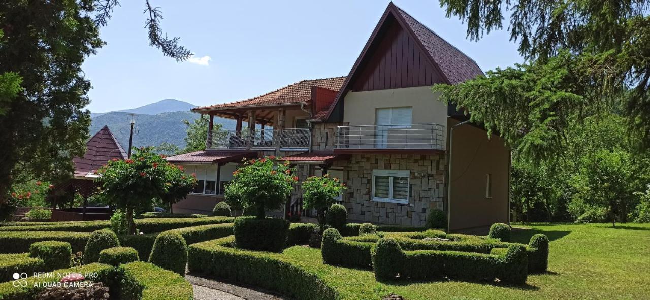 Guest House Vila Aleksa Bogutovac Екстер'єр фото