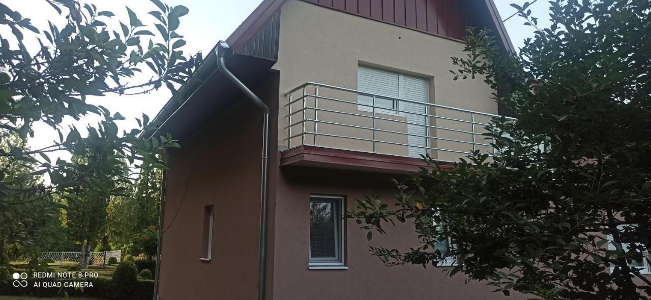 Guest House Vila Aleksa Bogutovac Екстер'єр фото