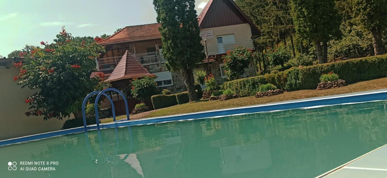 Guest House Vila Aleksa Bogutovac Екстер'єр фото