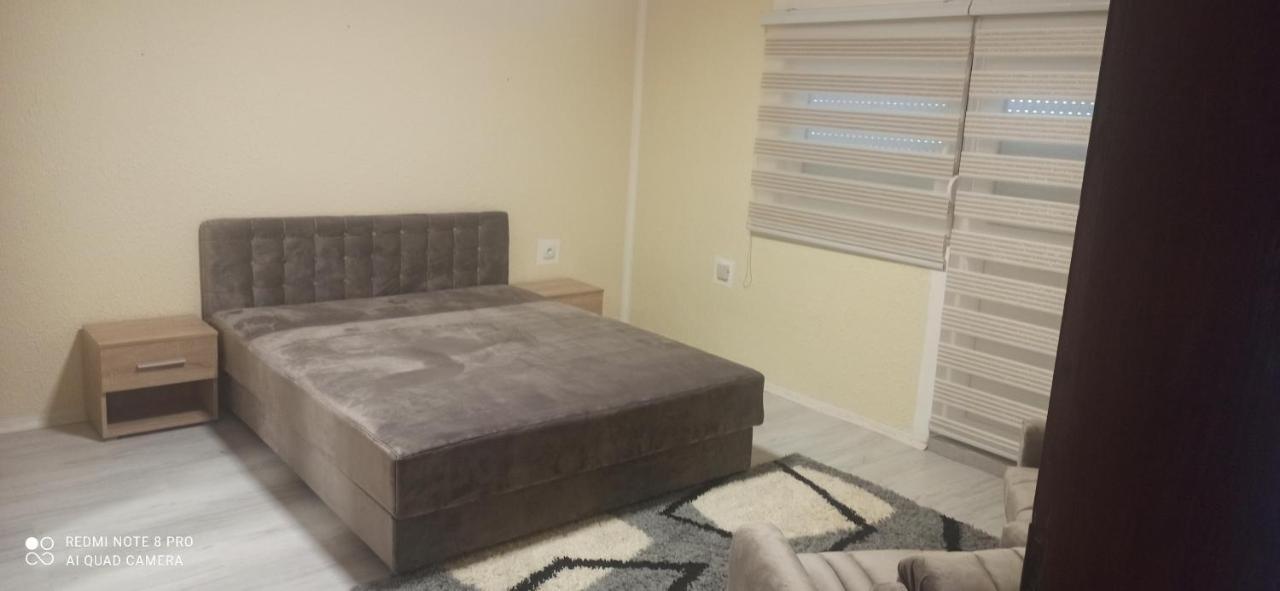 Guest House Vila Aleksa Bogutovac Екстер'єр фото